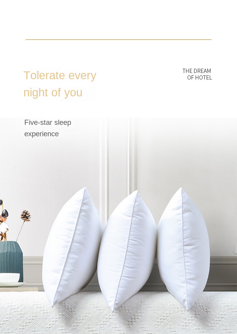 Bantal Tempat Tidur Koleksi Ho - Anti Snore Contour Pillow ulasan dan harga